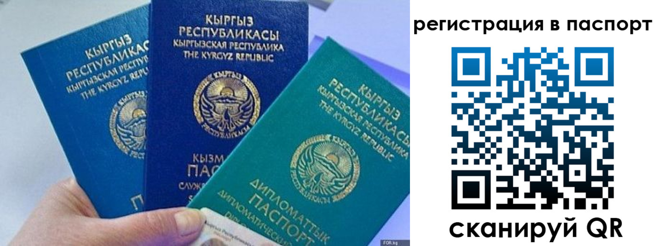 прописка 2025 в Рубцовске